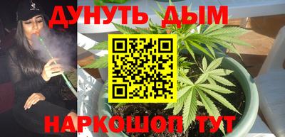 крисы Бузулук