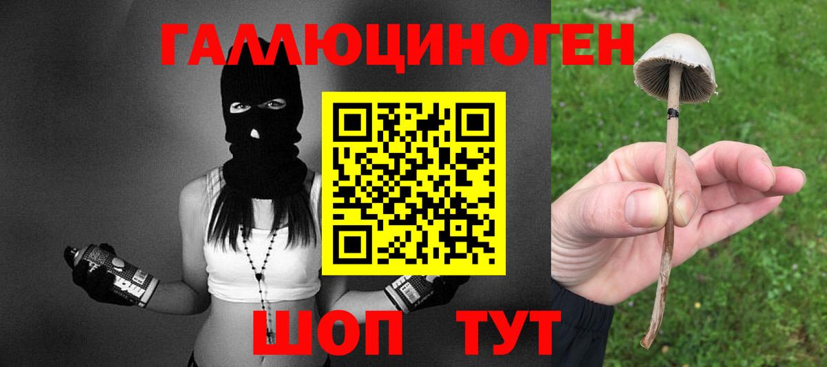 Галлюциногенные грибы мухоморы Рославль