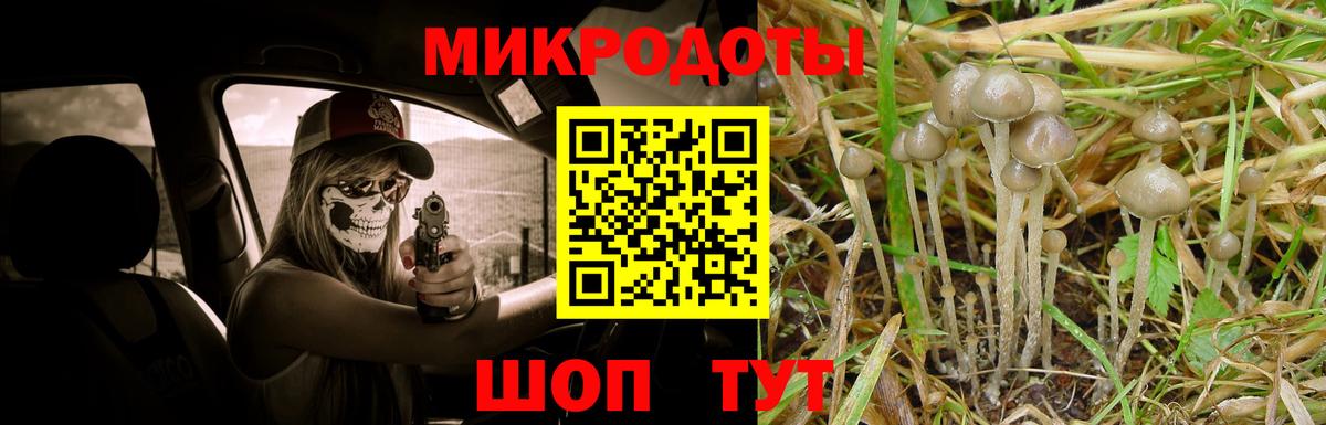 Галлюциногенные грибы GOLDEN TEACHER  Вход с VPN  Рославль  Псилоцибиновые грибы прущие грибы 